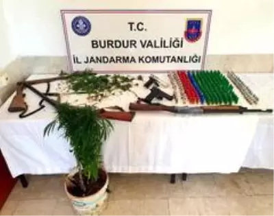 Burdur'da ormanlık alana kenevir eken 2 kişi tutuklandı Burdur'da ormanlık alana kenevir eken 2 kişi tutuklandı
