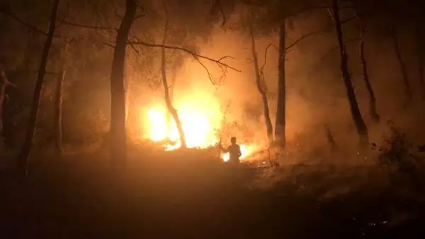 Son Dakika Haberi Bursa Da Orman Yangini Bolgesinden Canli Yayinla Son Durum Video Vide