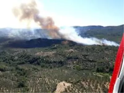 Son dakika... Çanakkale'de bir yangın daha Son dakika... Çanakkale'de bir yangın daha