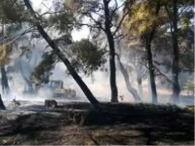 Son dakika haberleri! Çanakkale'de orman yangını Son dakika haberleri! Çanakkale'de orman yangını