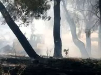 Son dakika haberleri! Çanakkale'de orman yangını Son dakika haberleri! Çanakkale'de orman yangını