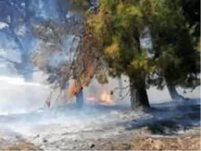 Son dakika haberleri! Çanakkale'de orman yangını Son dakika haberleri! Çanakkale'de orman yangını
