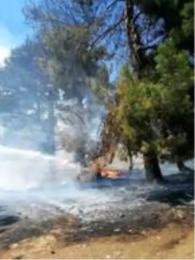 Son dakika haberleri! Çanakkale'de orman yangını Son dakika haberleri! Çanakkale'de orman yangını