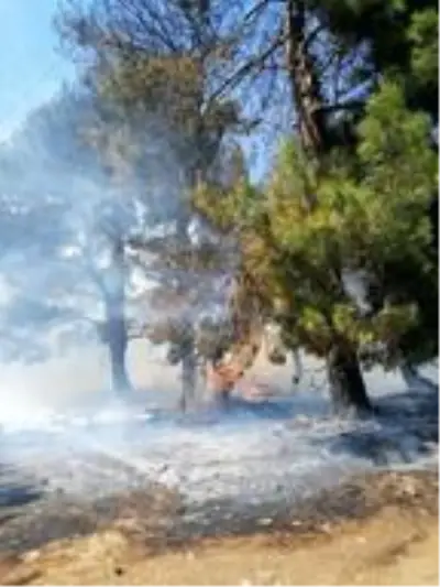 Son dakika haberleri! Çanakkale'de orman yangını Son dakika haberleri! Çanakkale'de orman yangını