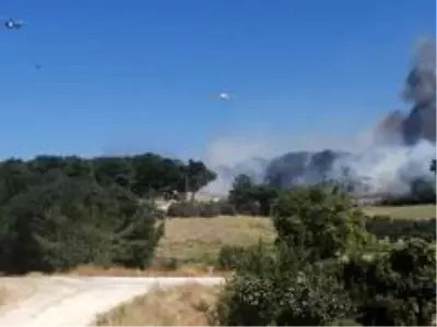 Son dakika haberleri! Çanakkale'de orman yangını Son dakika haberleri! Çanakkale'de orman yangını