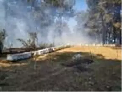 Son dakika haber: Çanakkale'de orman yangını (2) - Yeniden Son dakika haber: Çanakkale'de orman yangını (2) - Yeniden
