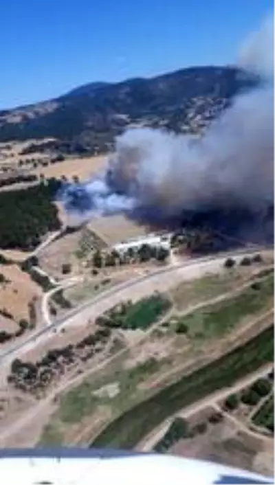 Son dakika haberleri! Çanakkale'de orman yangını Son dakika haberleri! Çanakkale'de orman yangını