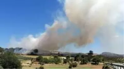 Son dakika haberleri! Çanakkale'de orman yangını Son dakika haberleri! Çanakkale'de orman yangını