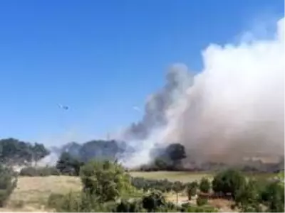 Son dakika haberleri! Çanakkale'de orman yangını Son dakika haberleri! Çanakkale'de orman yangını