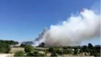 Son dakika haber! Çanakkale'de orman yangını Son dakika haber! Çanakkale'de orman yangını