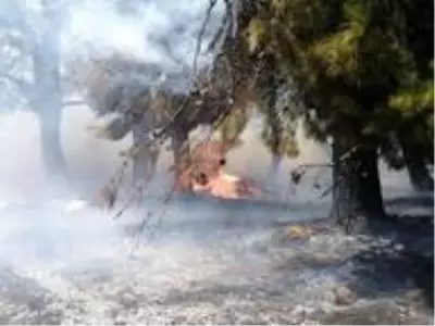 Son dakika haberleri! Çanakkale'de orman yangını Son dakika haberleri! Çanakkale'de orman yangını