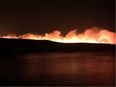 Son dakika haberleri... Çeşme'de otluk alanda yangın paniği Son dakika haberleri... Çeşme'de otluk alanda yangın paniği
