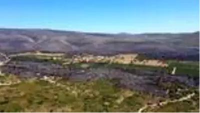 Çeşme'de yanan ormanlık alan havadan görüntülendi Çeşme'de yanan ormanlık alan havadan görüntülendi