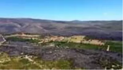 Çeşme'de yanan ormanlık alan havadan görüntülendi Çeşme'de yanan ormanlık alan havadan görüntülendi