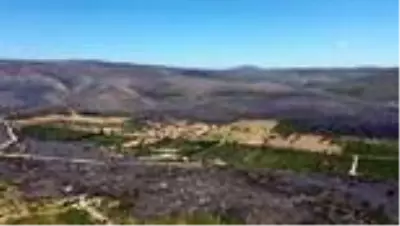 Çeşme'de yanan ormanlık alan havadan görüntülendi Çeşme'de yanan ormanlık alan havadan görüntülendi