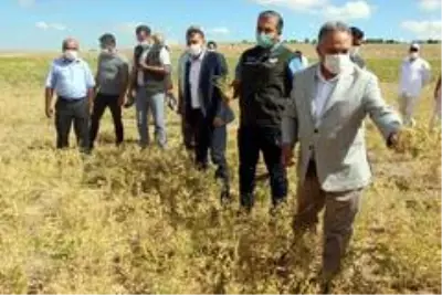 Cumhurbaşkanı Erdoğan'ın talimatının ilk hasadı Yalçın Başkan'dan Cumhurbaşkanı Erdoğan'ın talimatının ilk hasadı Yalçın Başkan'dan
