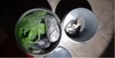 Son Dakika: Denizli'de 12 kilo 800 gram afyon sakızı ele geçirildi Son Dakika: Denizli'de 12 kilo 800 gram afyon sakızı ele geçirildi