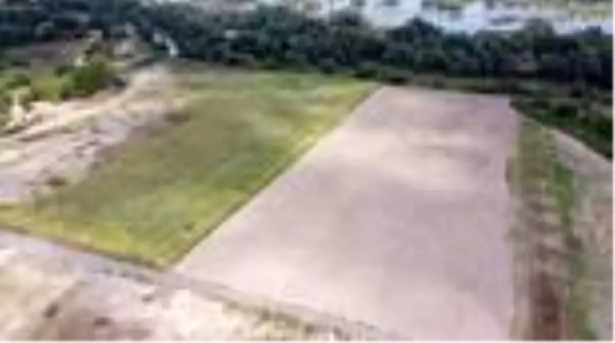 Eski belediye çöplüğünde çiçekler açacak