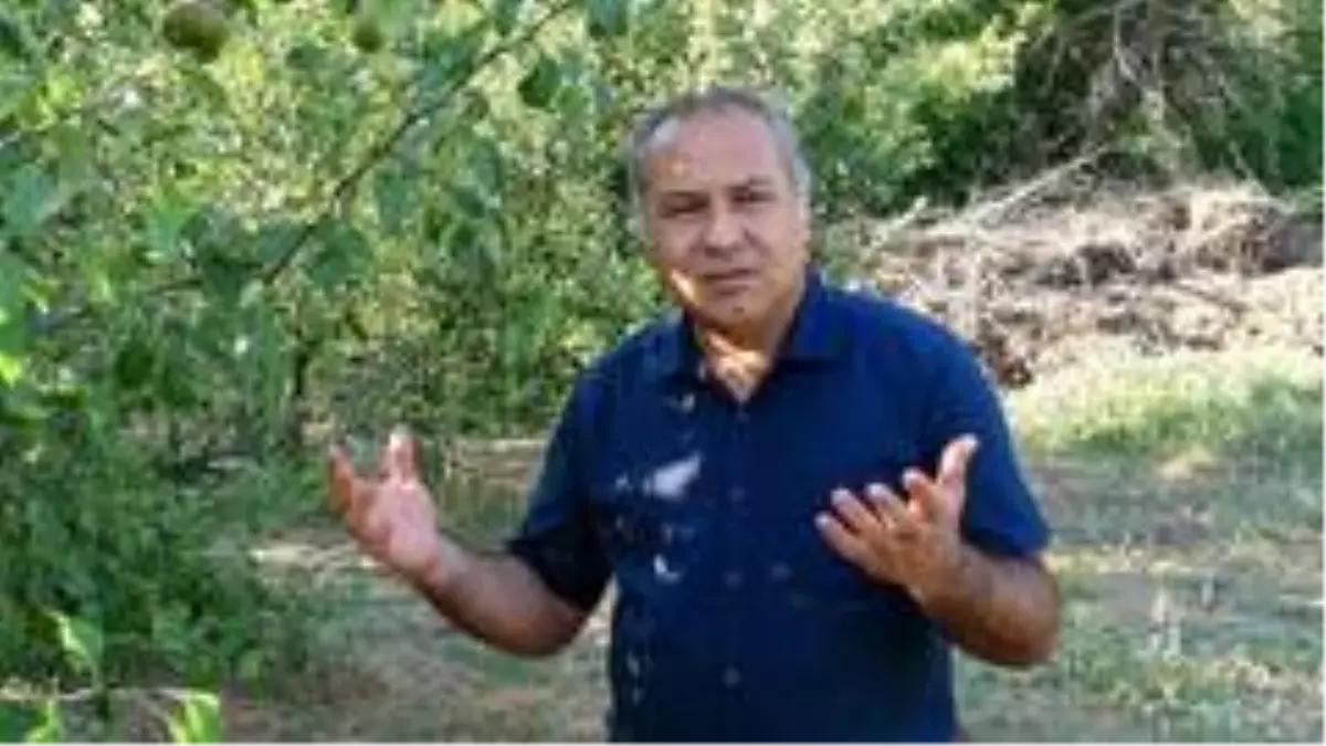 ESOGÜ'de meyve hasadı dönemi sona erdi