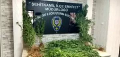 Son dakika haber! Gaziantep'te polisi uyuşturucu tacirlerine göz açtırmıyor Son dakika haber! Gaziantep'te polisi uyuşturucu tacirlerine göz açtırmıyor