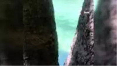 Doğal havuza atlayan talihsiz genç, başını taşa vurarak kısmı felç geçirdi Doğal havuza atlayan talihsiz genç, başını taşa vurarak kısmı felç geçirdi