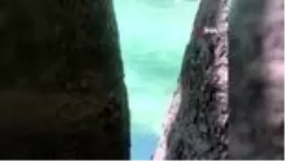 Doğal havuza atlayan talihsiz genç, başını taşa vurarak kısmı felç geçirdi Doğal havuza atlayan talihsiz genç, başını taşa vurarak kısmı felç geçirdi