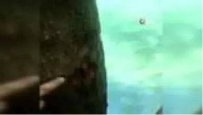 Doğal havuza atlayan talihsiz genç, başını taşa vurarak kısmı felç geçirdi Doğal havuza atlayan talihsiz genç, başını taşa vurarak kısmı felç geçirdi