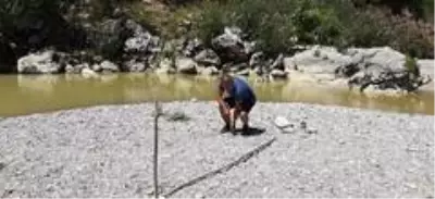 Hazırladıkları Survivor parkurunda hem yarışıyor hem eğleniyorlar Hazırladıkları Survivor parkurunda hem yarışıyor hem eğleniyorlar
