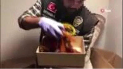 Son dakika... İstanbul'da organize suç örgütü operasyonu Son dakika... İstanbul'da organize suç örgütü operasyonu