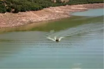 Kayıp Gülistan'ı arama çalışmaları sürüyor Kayıp Gülistan'ı arama çalışmaları sürüyor