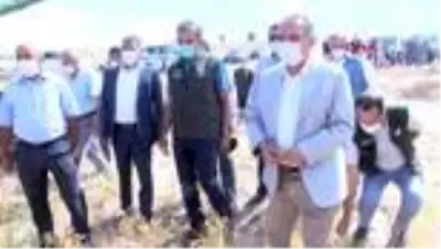 KAYSERİ Talas'ta 200 dekar alana ekilen nohudun hasadı yapıldı KAYSERİ Talas'ta 200 dekar alana ekilen nohudun hasadı yapıldı
