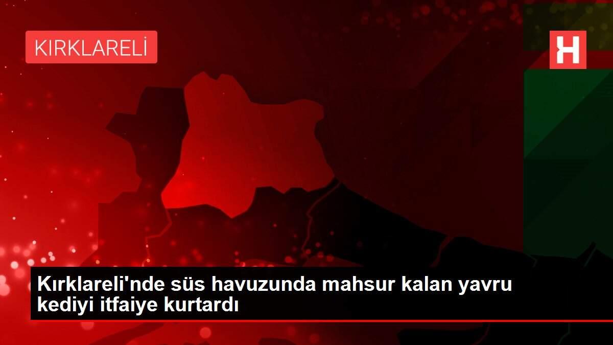 Son Dakika | Kırklareli'nde süs havuzunda mahsur kalan yavru kediyi itfaiye kurtardı Son Dakika | Kırklareli'nde süs havuzunda mahsur kalan yavru kediyi itfaiye kurtardı