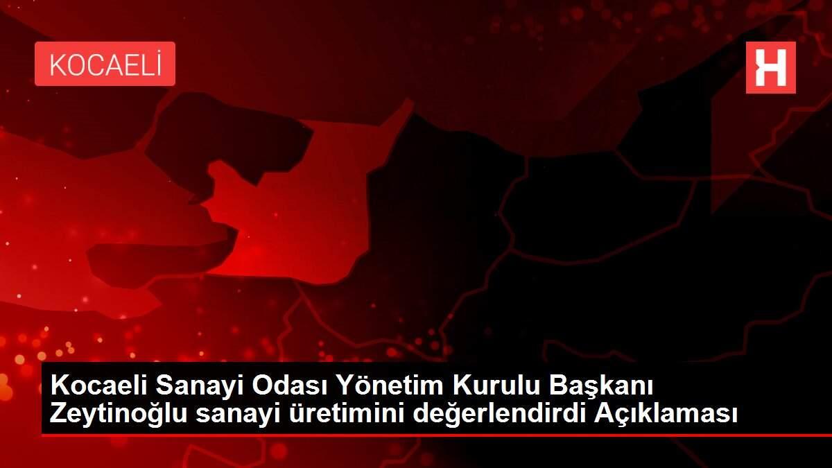 Kocaeli Sanayi Odası Yönetim Kurulu Başkanı Zeytinoğlu sanayi üretimini değerlendirdi Açıklaması