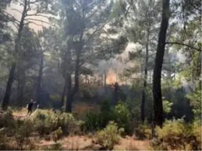 Son dakika haber | Manavgat'ta aynı saatlerde dört ayrı noktada orman yangını Son dakika haber | Manavgat'ta aynı saatlerde dört ayrı noktada orman yangını