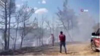 Son dakika haberi | Manavgat'ta aynı saatlerde dört ayrı noktada orman yangını Son dakika haberi | Manavgat'ta aynı saatlerde dört ayrı noktada orman yangını