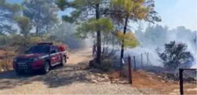 Son dakika haber | Manavgat'ta aynı saatlerde dört ayrı noktada orman yangını Son dakika haber | Manavgat'ta aynı saatlerde dört ayrı noktada orman yangını