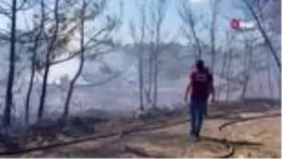 Son dakika haber | Manavgat'ta aynı saatlerde dört ayrı noktada orman yangını Son dakika haber | Manavgat'ta aynı saatlerde dört ayrı noktada orman yangını