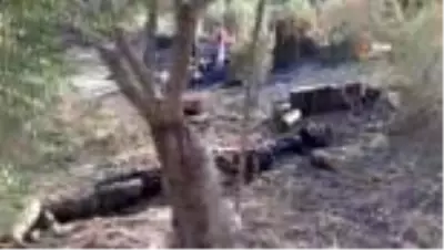 Son dakika haber... Manavgat'ta aynı saatlerde dört ayrı noktada orman yangını Son dakika haber... Manavgat'ta aynı saatlerde dört ayrı noktada orman yangını