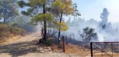 Son dakika haber | Manavgat'ta aynı saatlerde dört ayrı noktada orman yangını Son dakika haber | Manavgat'ta aynı saatlerde dört ayrı noktada orman yangını