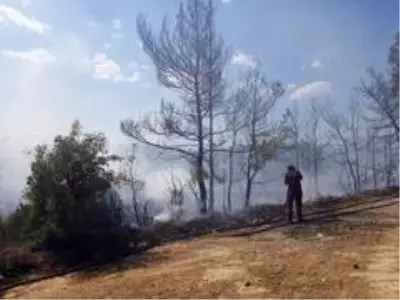 Son dakika haber | Manavgat'ta aynı saatlerde dört ayrı noktada orman yangını Son dakika haber | Manavgat'ta aynı saatlerde dört ayrı noktada orman yangını