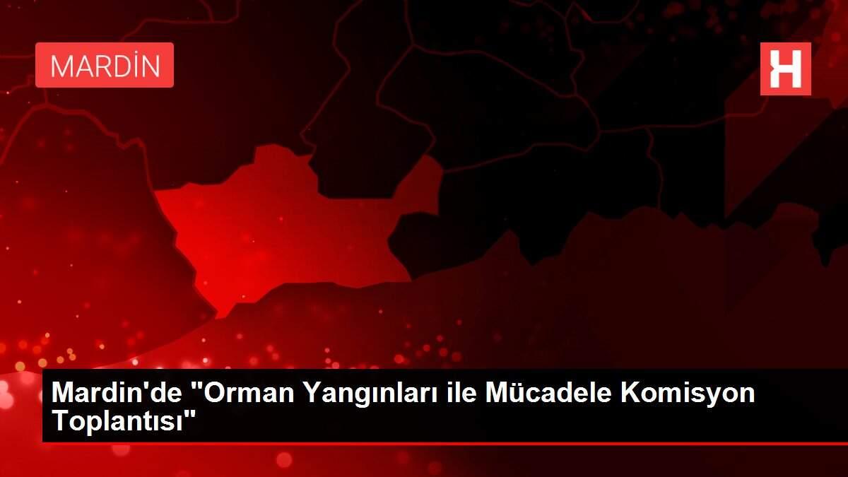 Son dakika gündem: Mardin'de Son dakika gündem: Mardin'de