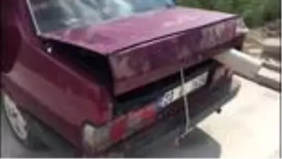 Otlanırken çalınan buzağı, otomobilin bagajında ölmek üzereyken bulundu Otlanırken çalınan buzağı, otomobilin bagajında ölmek üzereyken bulundu