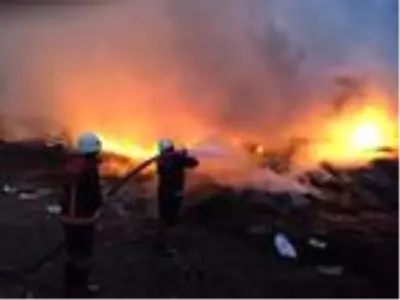 Son dakika haberleri | Mersin Alata Araştırma Enstitüsü'nde yangın Son dakika haberleri | Mersin Alata Araştırma Enstitüsü'nde yangın