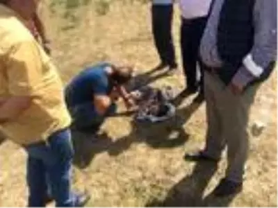Kontrolden çıkan minibüs tarlaya uçtu: Anne hayatını kaybetti, 3 çocuğu ve eşi yaralandı Kontrolden çıkan minibüs tarlaya uçtu: Anne hayatını kaybetti, 3 çocuğu ve eşi yaralandı