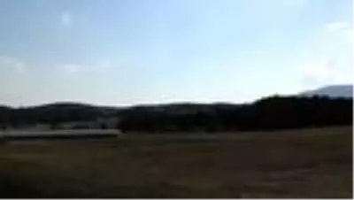 Son dakika haberi... Muğla'da ölü 'karakulak' bulundu Son dakika haberi... Muğla'da ölü 'karakulak' bulundu