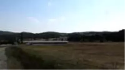 Son dakika haberi... Muğla'da ölü 'karakulak' bulundu Son dakika haberi... Muğla'da ölü 'karakulak' bulundu