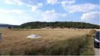 Son dakika haberi... Muğla'da ölü 'karakulak' bulundu Son dakika haberi... Muğla'da ölü 'karakulak' bulundu
