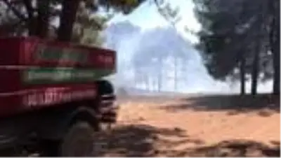 Son dakika haberleri... Orman yangını Son dakika haberleri... Orman yangını