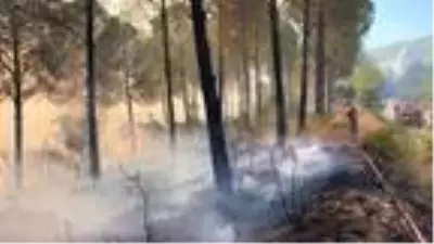 Son dakika haber | Osmaniye'de orman yangını Son dakika haber | Osmaniye'de orman yangını