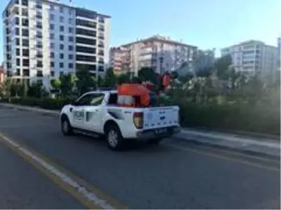Pursaklar'da virüsle ve haşereyle eş zamanlı mücadele Pursaklar'da virüsle ve haşereyle eş zamanlı mücadele